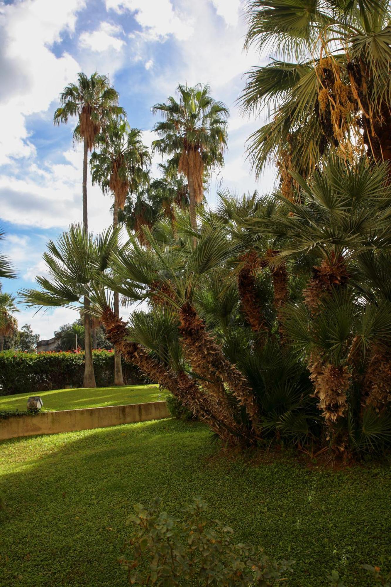 Appartamenti Duec Trapani Exterior photo